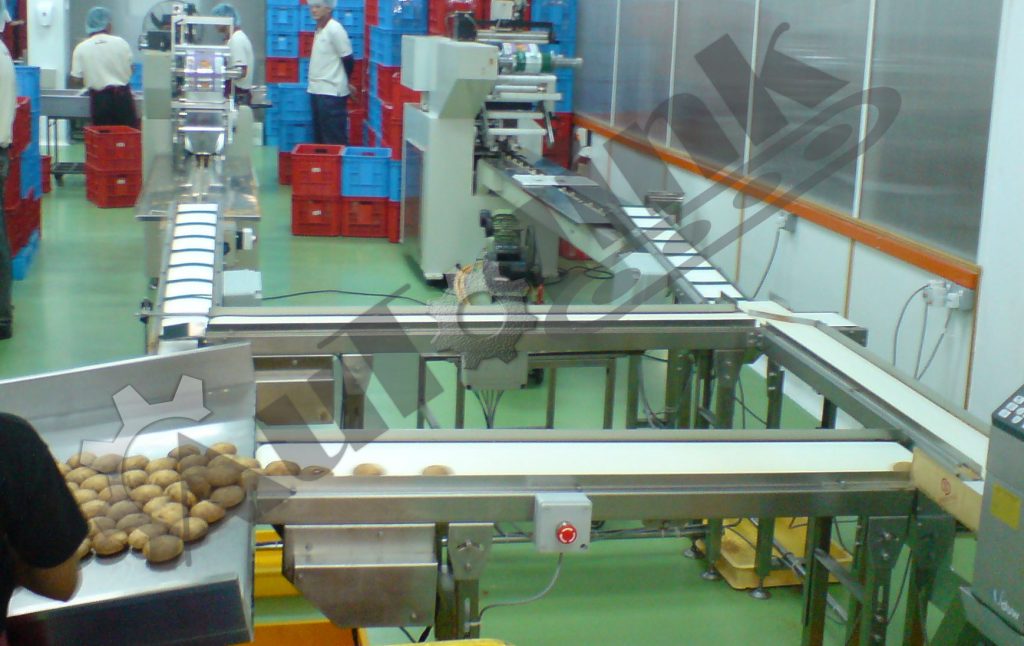 Food Production Conveyor